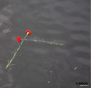 Commémoration 10 mai 2011     